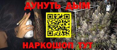ешки Дубна