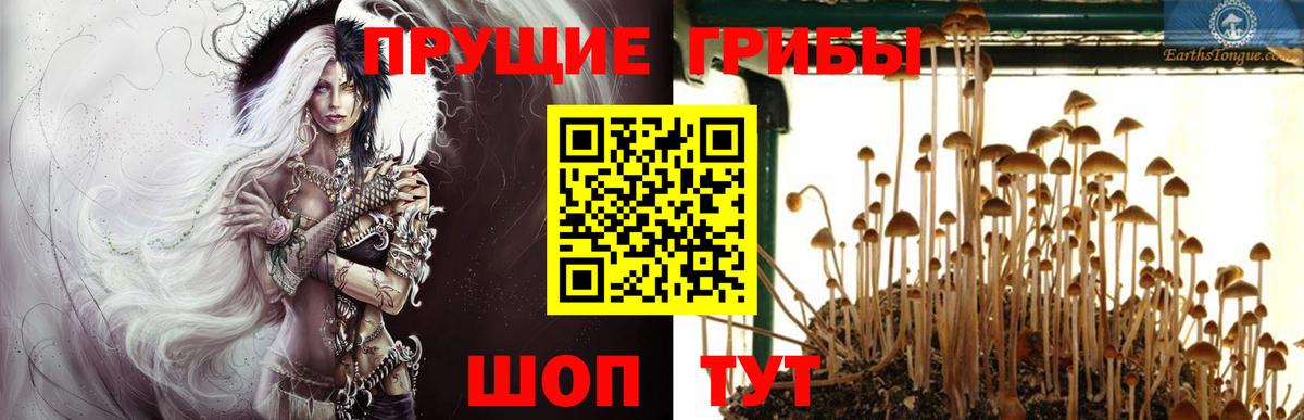 Псилоцибиновые грибы Psilocybe  Вход с VPN  где купить   Мелеуз 